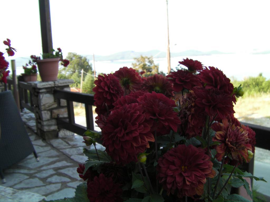 Pandion Luxury Boutique Hotel & Suites With Spa 尼奥楚里翁 外观 照片